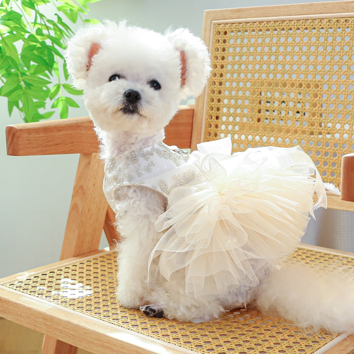 Spring And Summer Thin Dog Cat Wedding Dress | Luxury Home Accessories | Heulog Glow