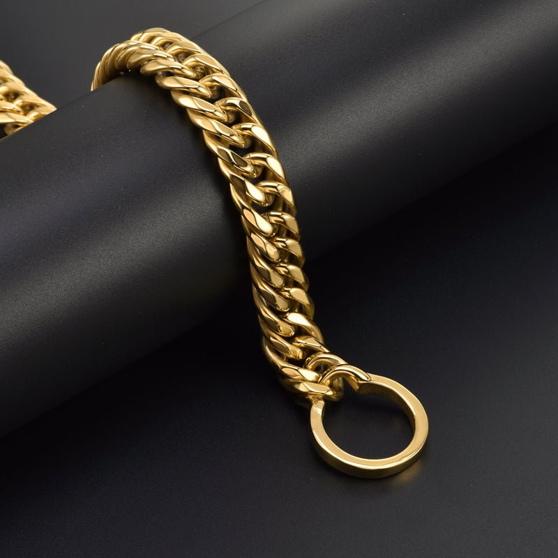 Stainless Steel Titanium Dog Leash Bulldog Pitbull Collar | Luxury Home Accessories | Heulog Glow