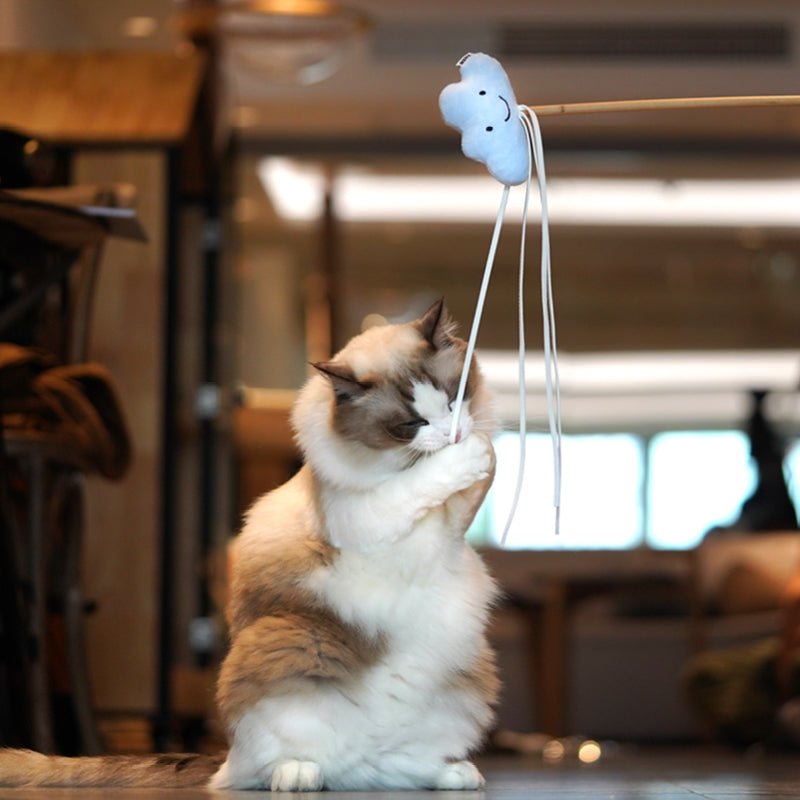 Starry Sky Funny Cat Stick Teeth-resistant Toy | Luxury Home Accessories | Heulog Glow