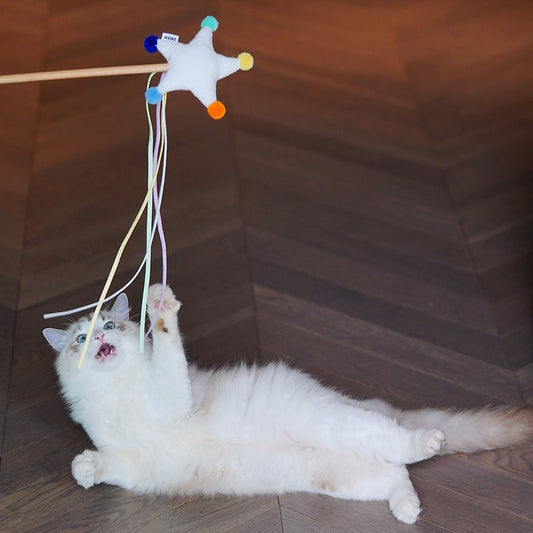 Starry Sky Funny Cat Stick Teeth-resistant Toy | Luxury Home Accessories | Heulog Glow
