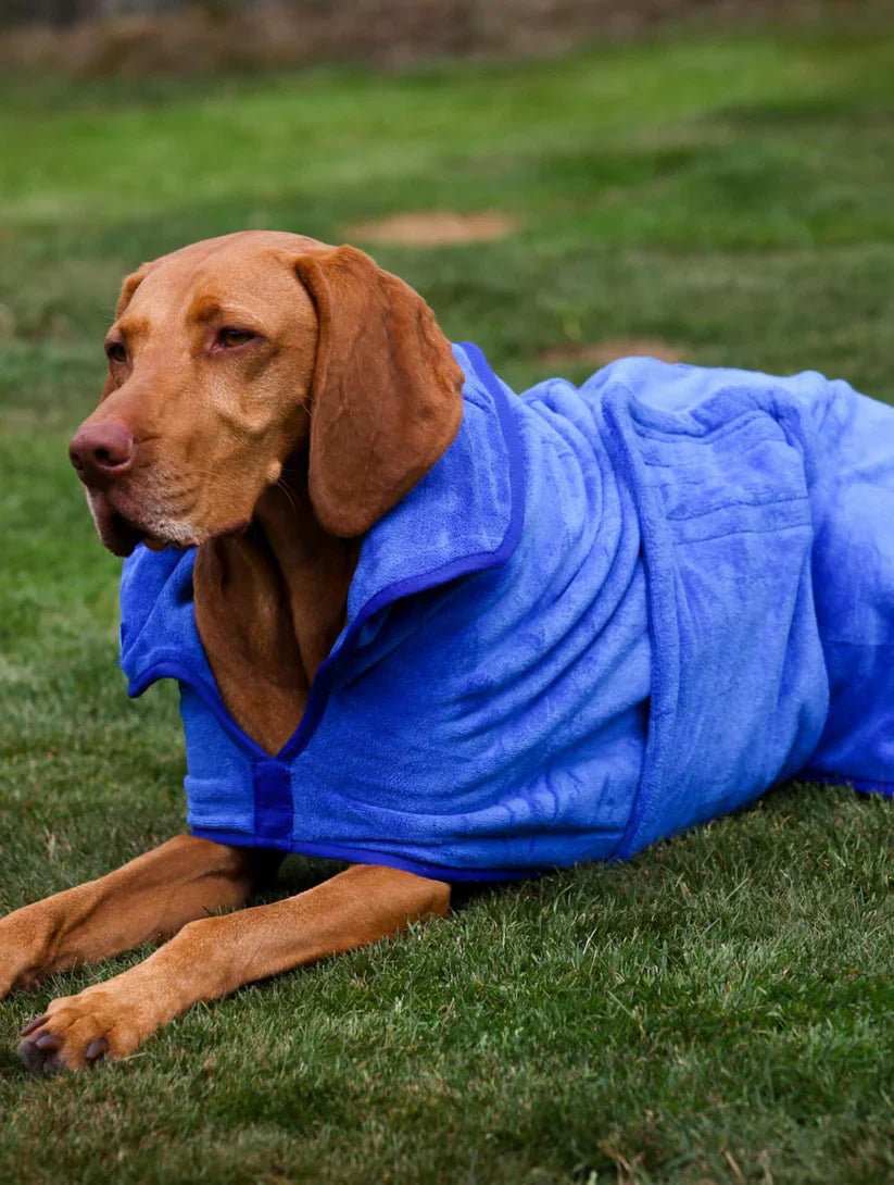 Stellar Luxury Drying Robes for Dogs | Luxury Home Accessories | Heulog Glow