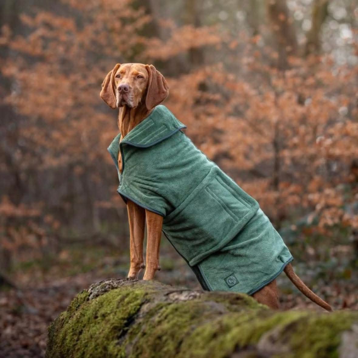 Stellar Luxury Drying Robes for Dogs | Luxury Home Accessories | Heulog Glow