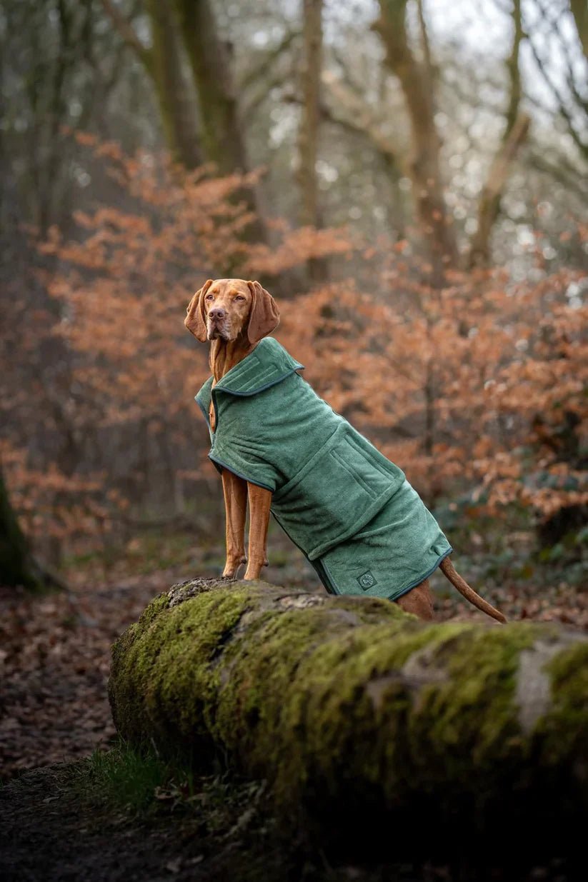 Stellar Luxury Drying Robes for Dogs | Luxury Home Accessories | Heulog Glow