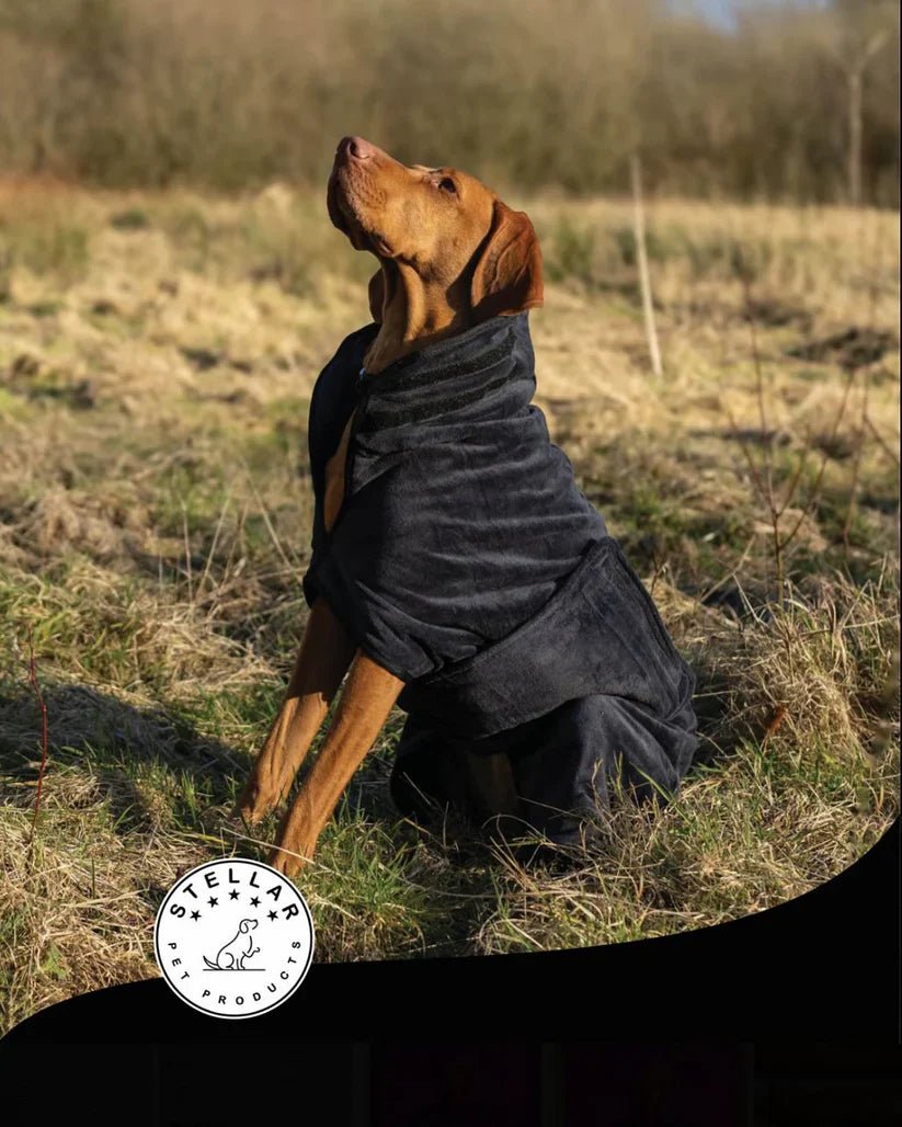 Stellar Luxury Drying Robes for Dogs | Luxury Home Accessories | Heulog Glow