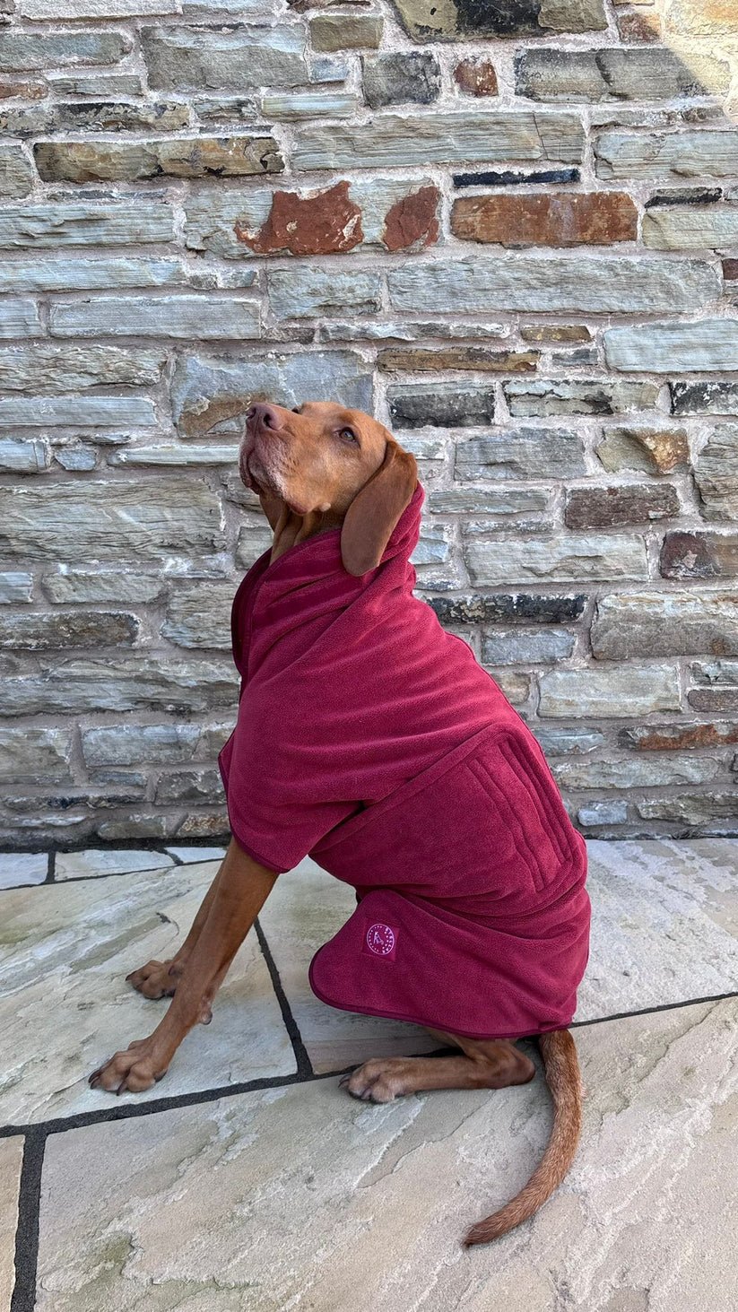 Stellar Luxury Drying Robes for Dogs | Luxury Home Accessories | Heulog Glow