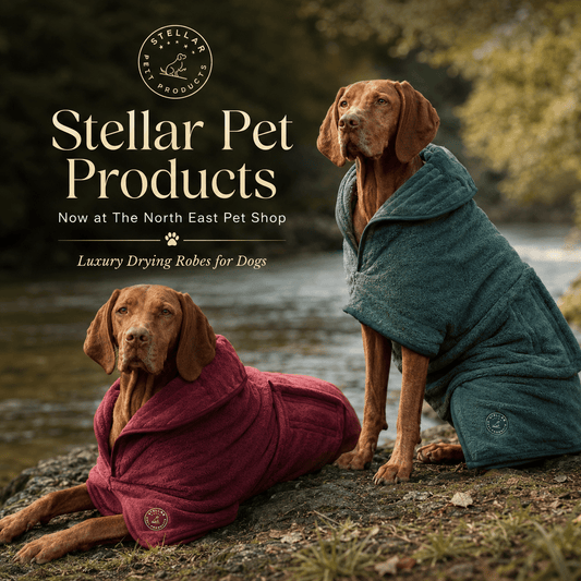 Stellar Luxury Drying Robes for Dogs | Luxury Home Accessories | Heulog Glow