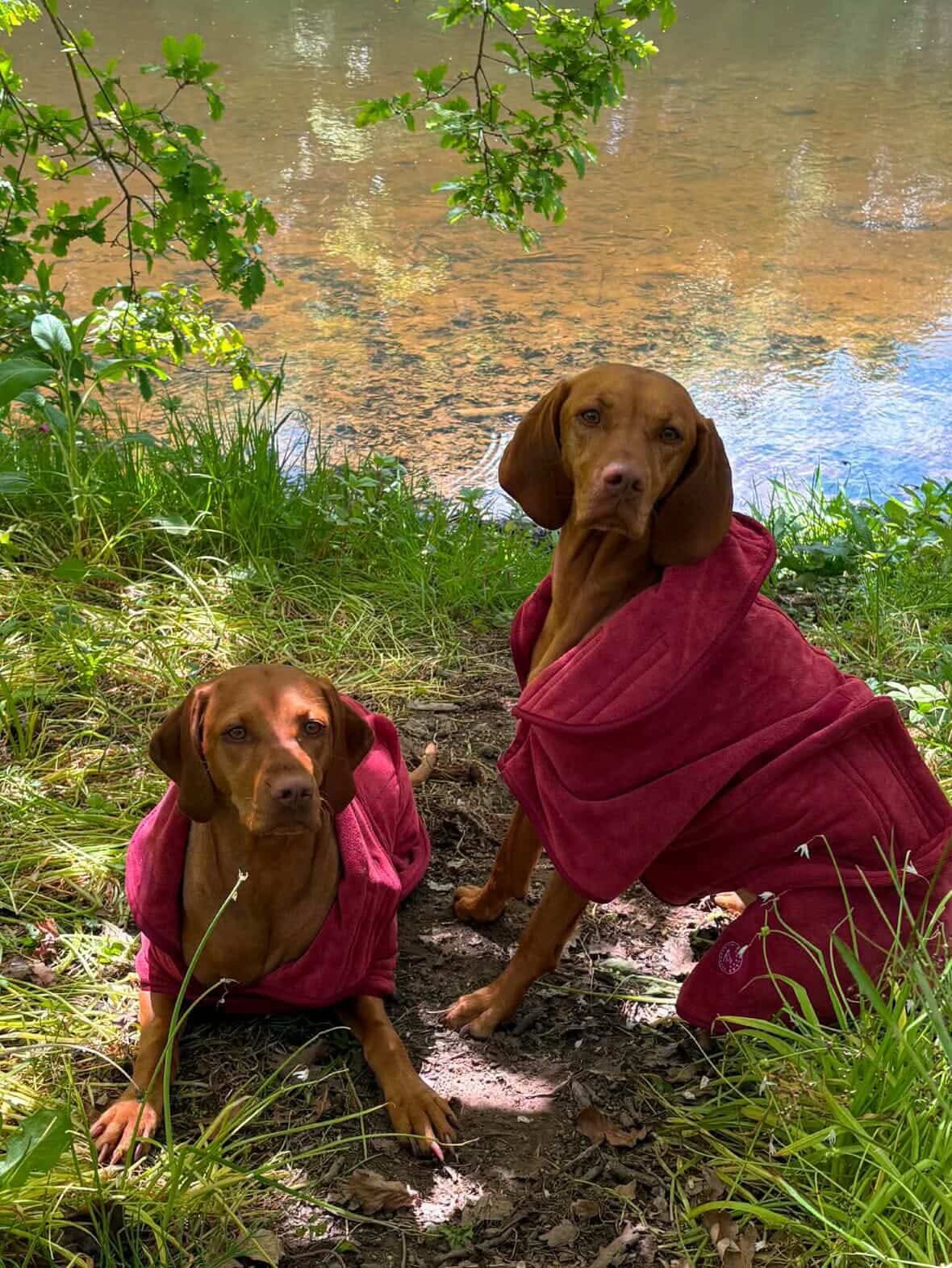 Stellar Luxury Drying Robes for Dogs | Luxury Home Accessories | Heulog Glow