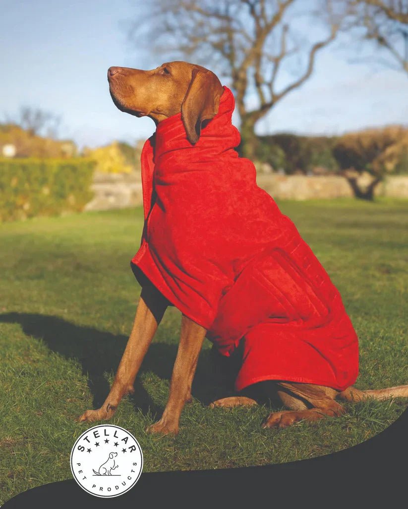 Stellar Luxury Drying Robes for Dogs | Luxury Home Accessories | Heulog Glow