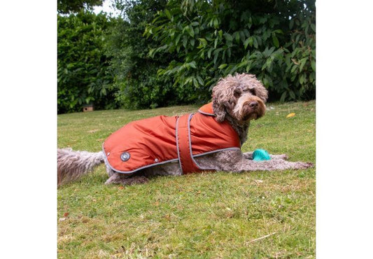 Stormguard Dog Coat Terracotta L | Luxury Home Accessories | Heulog Glow