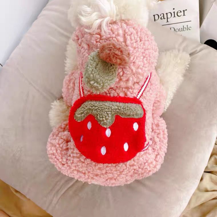Strawberry Cotton Coat Pet Clothes Dog | Luxury Home Accessories | Heulog Glow