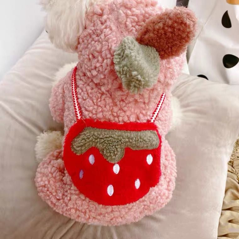 Strawberry Cotton Coat Pet Clothes Dog | Luxury Home Accessories | Heulog Glow