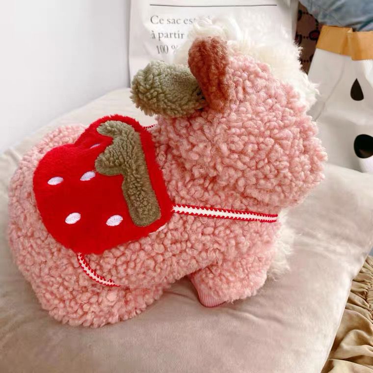 Strawberry Cotton Coat Pet Clothes Dog | Luxury Home Accessories | Heulog Glow