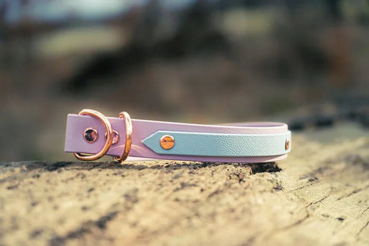 Strip Biothane Collar - Handmade Biothane Dog Collar | Luxury Home Accessories | Heulog Glow
