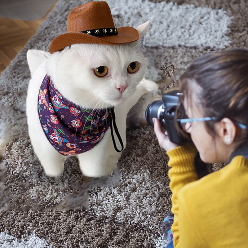 Stylish Pets Cat Cowboy Hat Star Hats For Cats Dogs Soft Adjustable Caps Street Parties Photo Shoots Universal Props Clothing | Luxury Home Accessories | Heulog Glow