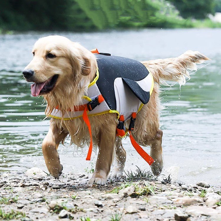 Summer Pet Dog Corgi Golden Retriever Clothes | Luxury Home Accessories | Heulog Glow