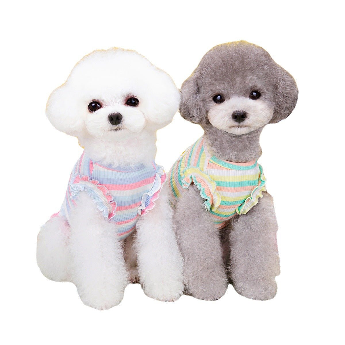 Summer Small Dog Casual Pet Clothing | Luxury Home Accessories | Heulog Glow