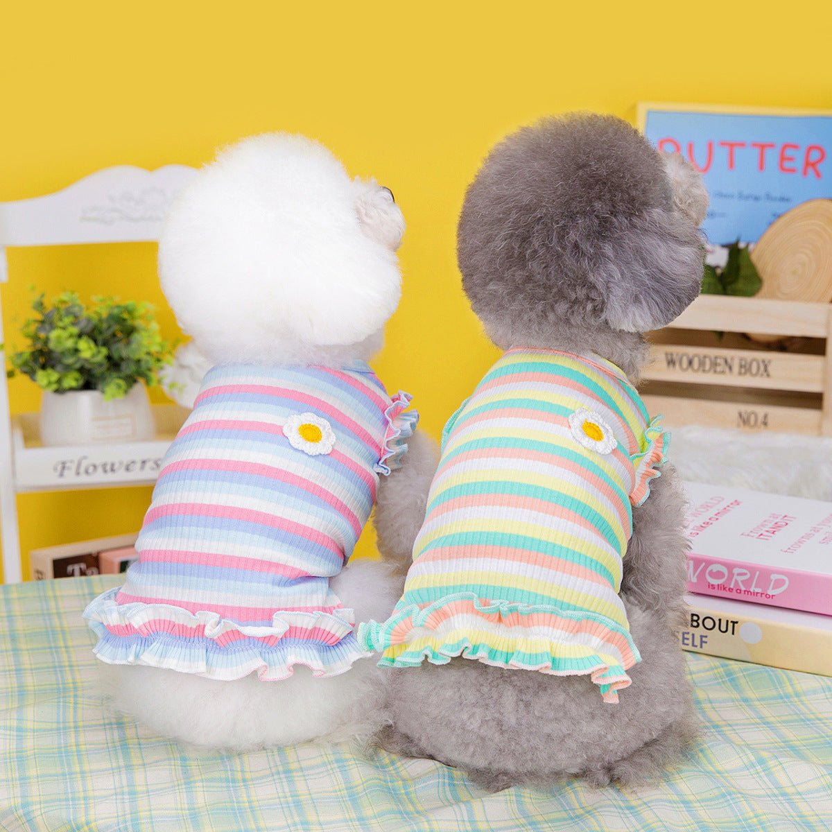 Summer Small Dog Casual Pet Clothing | Luxury Home Accessories | Heulog Glow