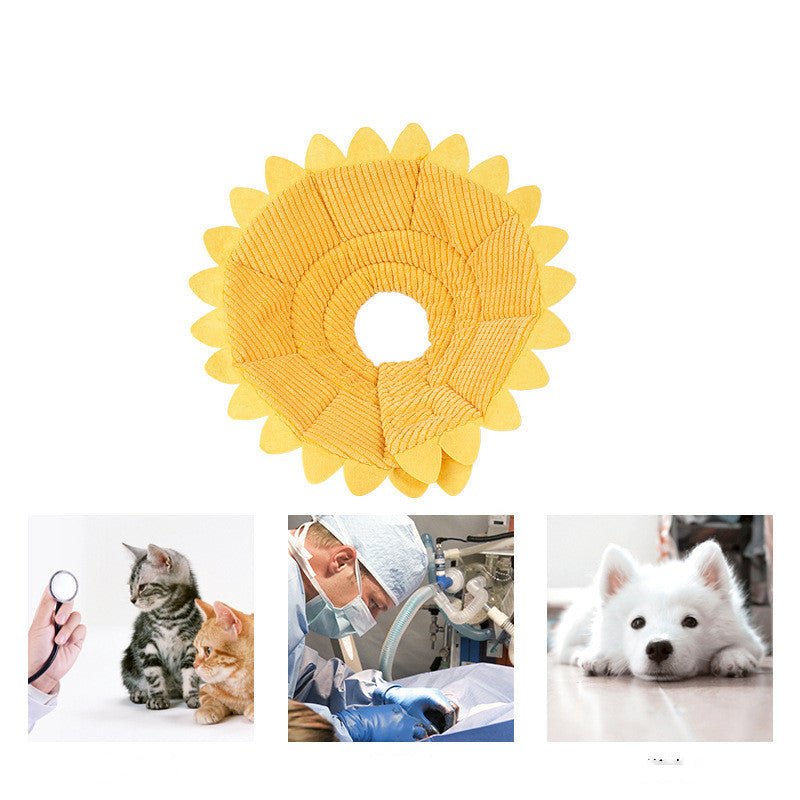 Sunflower Collar Postoperative Protection Ring | Luxury Home Accessories | Heulog Glow