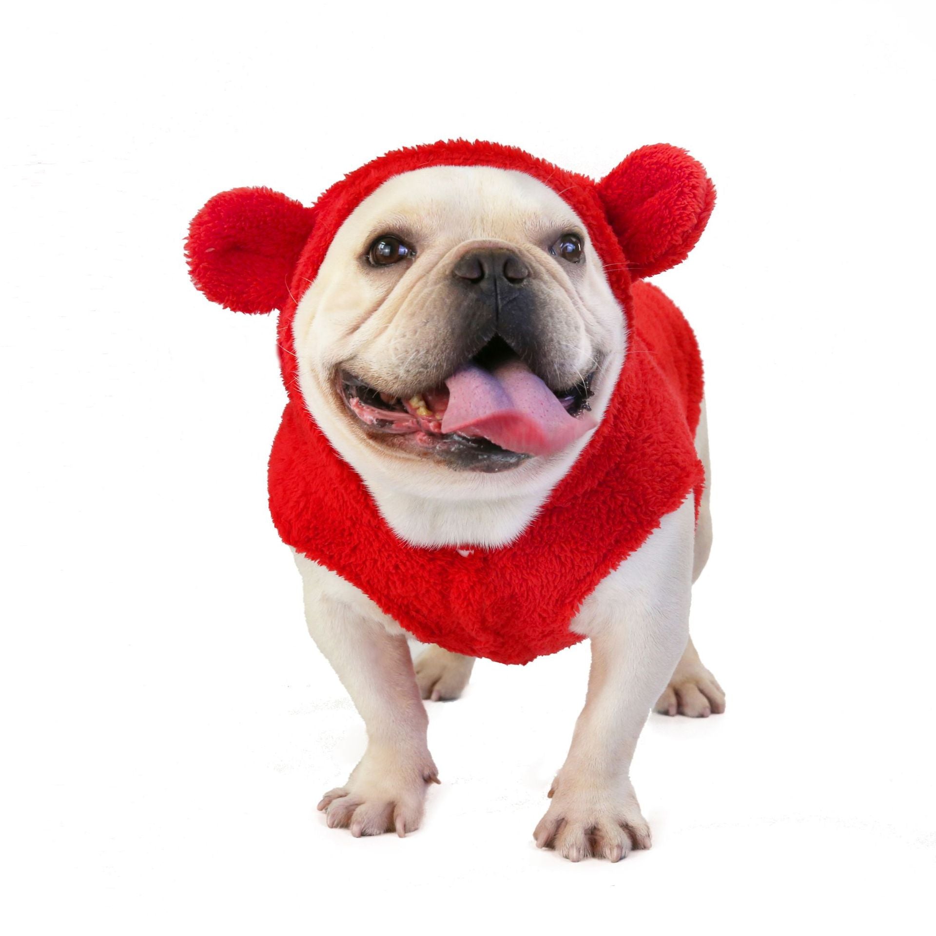 Teddy Bichon Small Dog Dog Clothes | Luxury Home Accessories | Heulog Glow