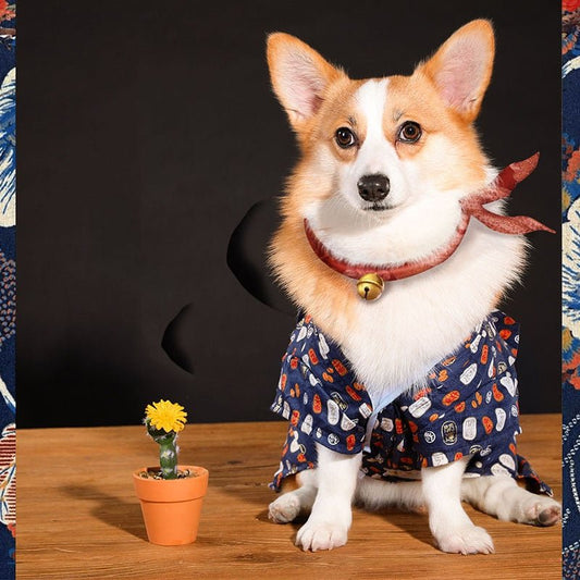 Teddy Chai dog medium sized small dog in spring and summer | Luxury Home Accessories | Heulog Glow