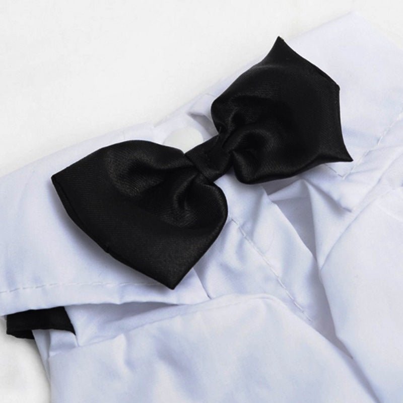 Teddy Dog British Bow Tie Suit Bib | Luxury Home Accessories | Heulog Glow
