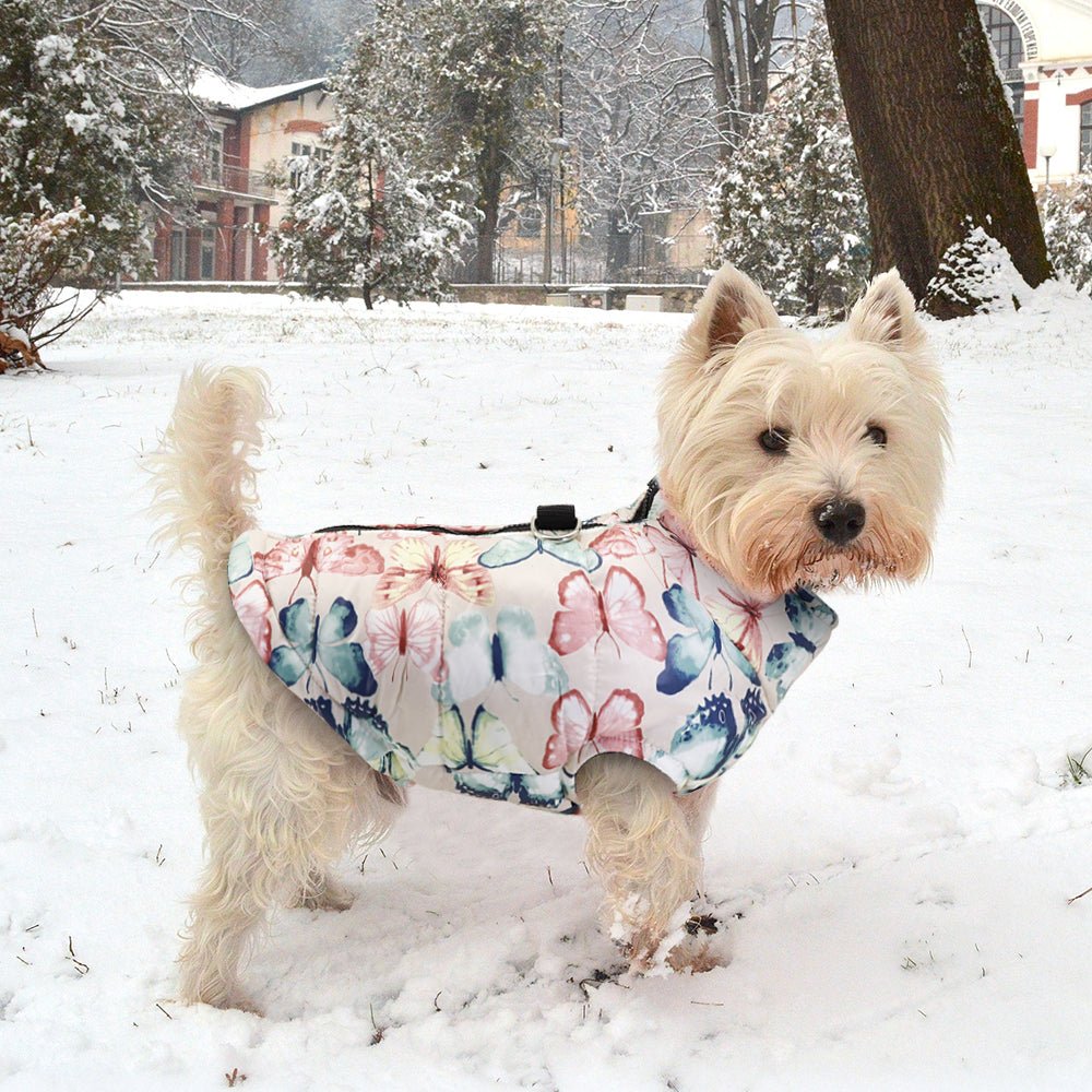 Teddy Farrow pet dog cotton clothes | Luxury Home Accessories | Heulog Glow