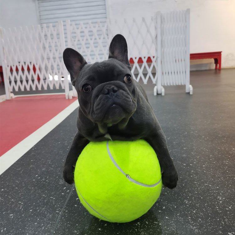Tennis Pet Toy Inflatable Training Rubber Big Ball Elastic Ten Times Happy Corgi Golden Retriever | Luxury Home Accessories | Heulog Glow