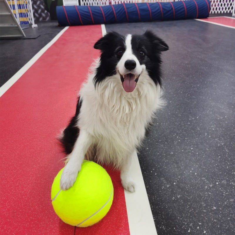 Tennis Pet Toy Inflatable Training Rubber Big Ball Elastic Ten Times Happy Corgi Golden Retriever | Luxury Home Accessories | Heulog Glow
