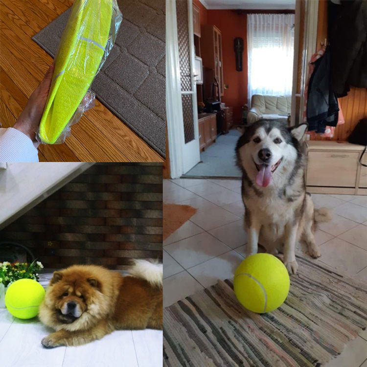 Tennis Pet Toy Inflatable Training Rubber Big Ball Elastic Ten Times Happy Corgi Golden Retriever | Luxury Home Accessories | Heulog Glow