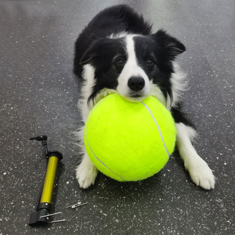 Tennis Pet Toy Inflatable Training Rubber Big Ball Elastic Ten Times Happy Corgi Golden Retriever | Luxury Home Accessories | Heulog Glow
