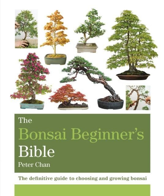 The Bonsai Beginner's Bible : The definitive guide to choosing and growing bonsai | Peter Chan | ISBN: 9781784723699 | Luxury Home Accessories | Heulog Glow