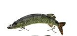The classical multistage bionic lure | Luxury Home Accessories | Heulog Glow