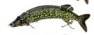 The classical multistage bionic lure | Luxury Home Accessories | Heulog Glow