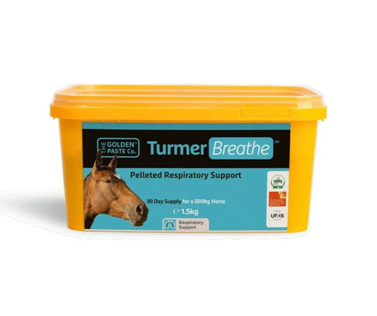 The Golden Paste Co TurmerBreathe Pellets 1.5kg | Luxury Home Accessories | Heulog Glow