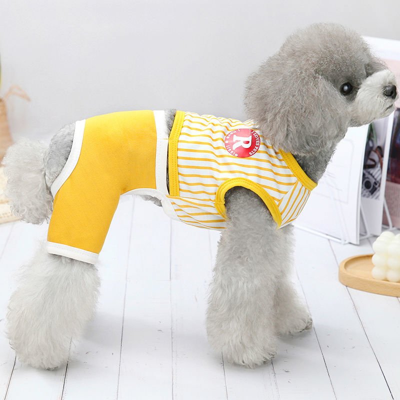 Thin Four Legged Pet Clothing | Luxury Home Accessories | Heulog Glow