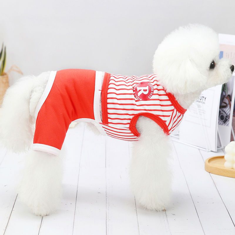 Thin Four Legged Pet Clothing | Luxury Home Accessories | Heulog Glow