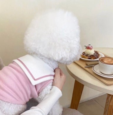 Thin Puppy Dog Clothes Cat Pet Small Puppies Spring And Summer | Luxury Home Accessories | Heulog Glow