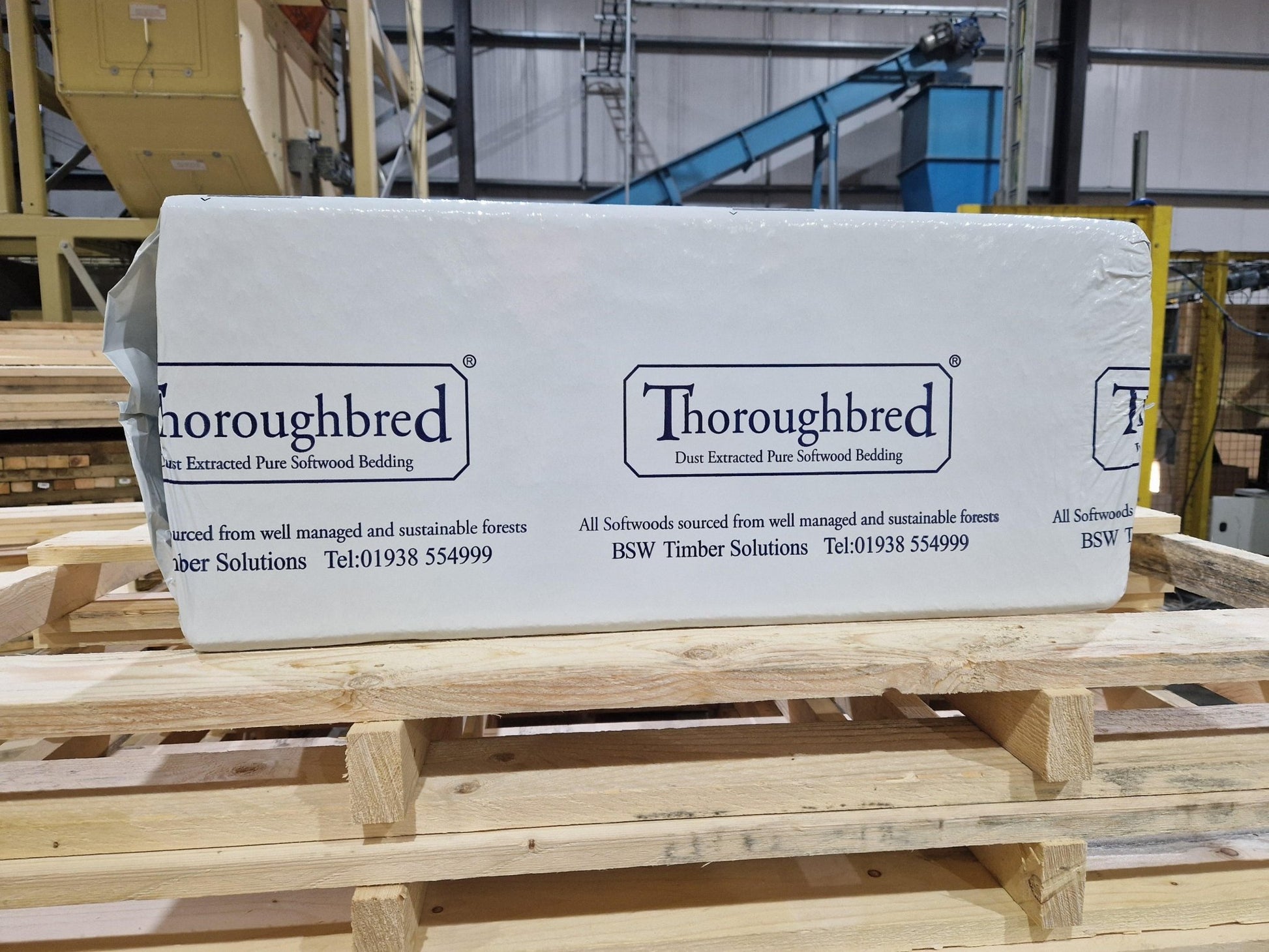 Thoroughbred Shavings | Luxury Home Accessories | Heulog Glow