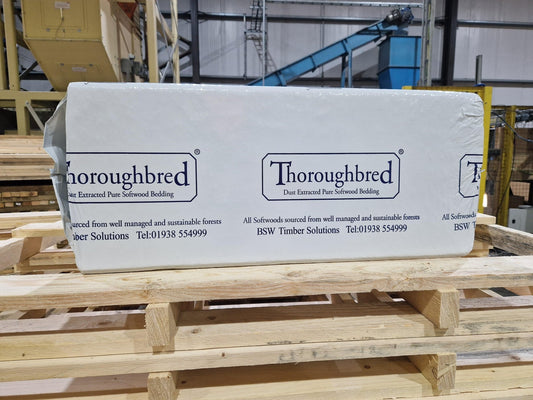 Thoroughbred Shavings | Luxury Home Accessories | Heulog Glow