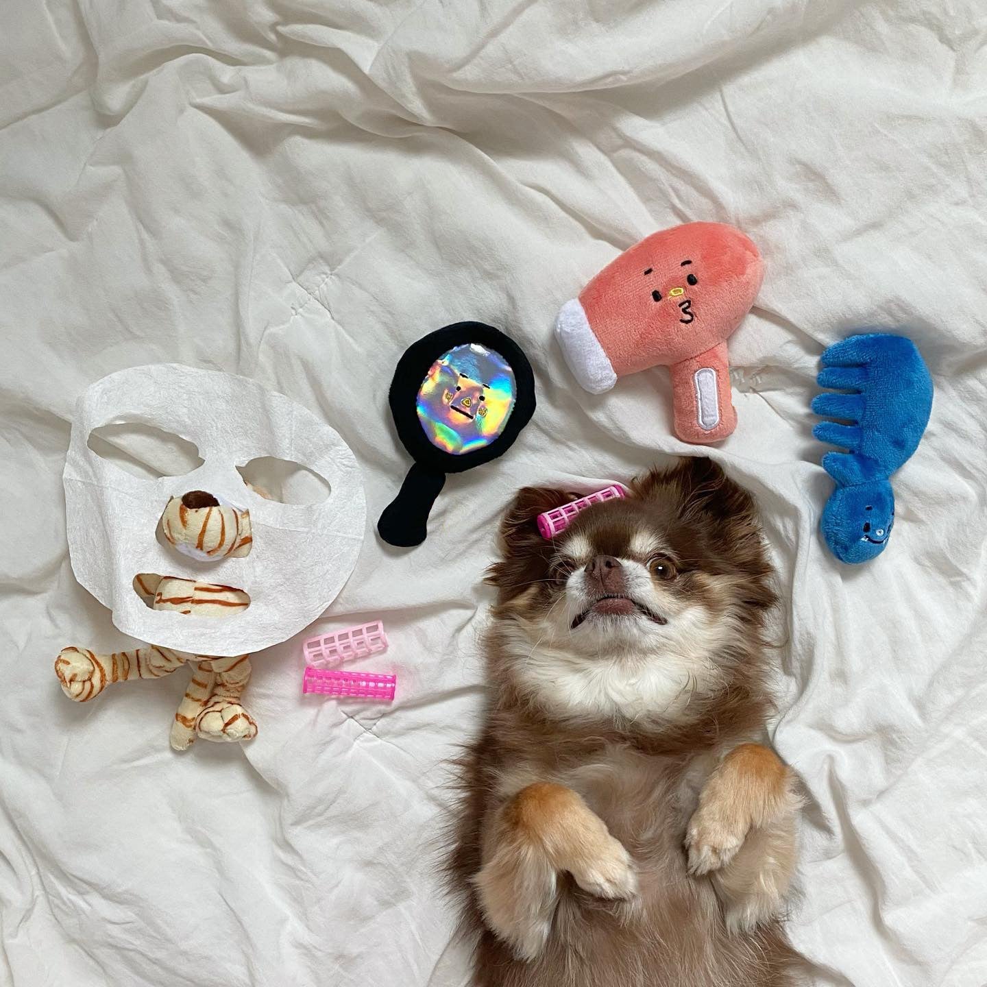 Three-piece Dog Toy Set With Washing Blowing And Haircutting | Luxury Home Accessories | Heulog Glow