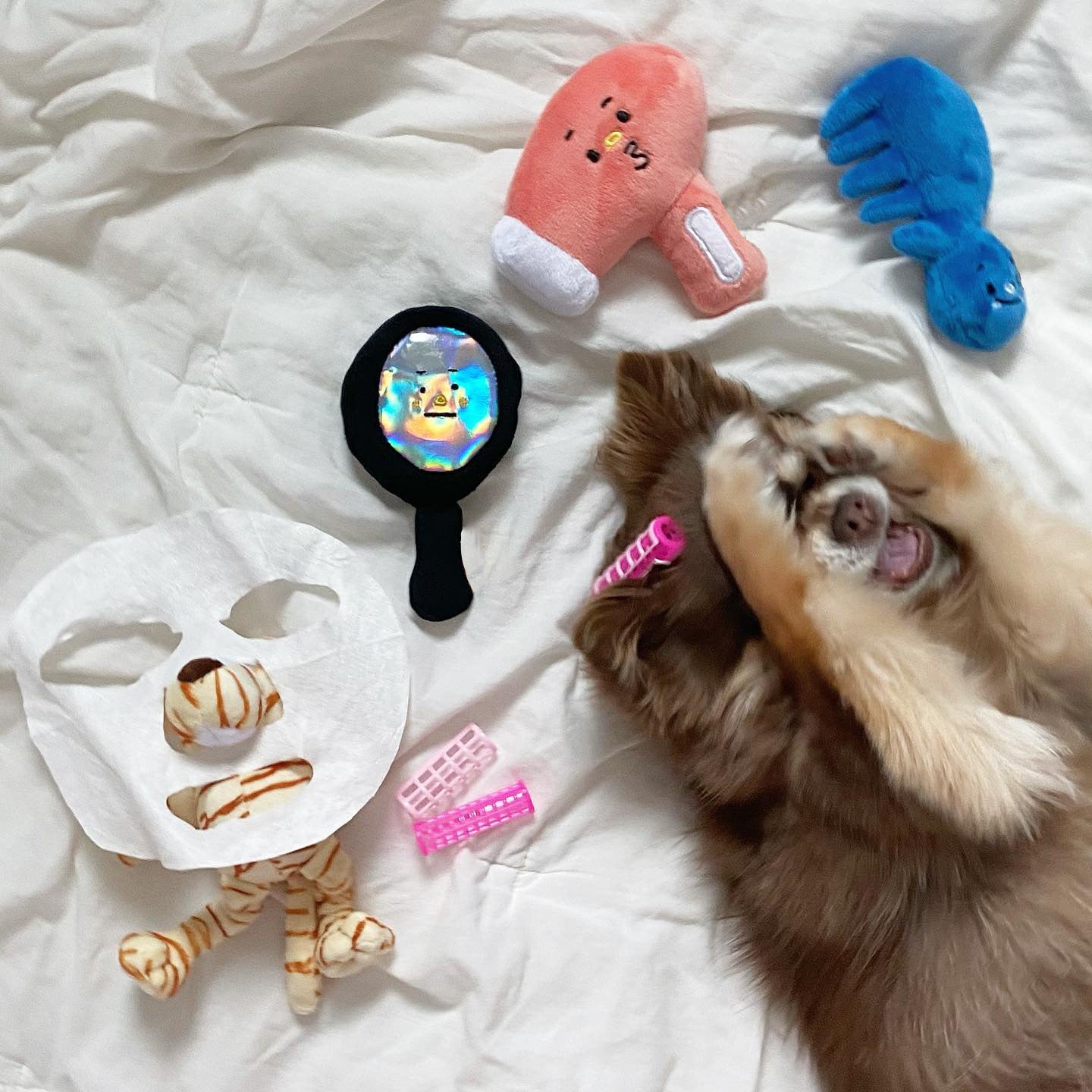 Three-piece Dog Toy Set With Washing Blowing And Haircutting | Luxury Home Accessories | Heulog Glow