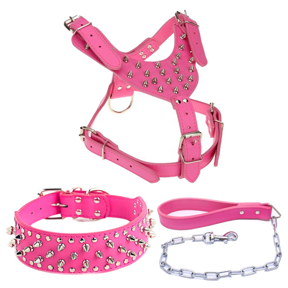 Three Piece Pet Rivet Set | Luxury Home Accessories | Heulog Glow