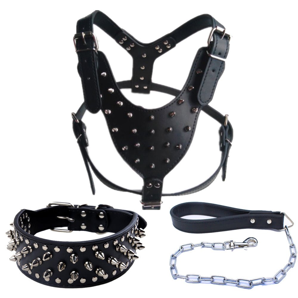 Three Piece Pet Rivet Set | Luxury Home Accessories | Heulog Glow