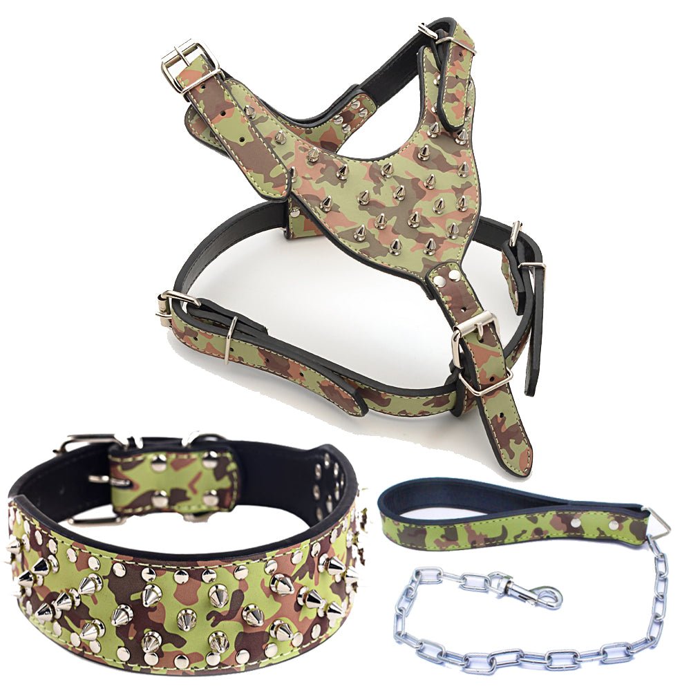 Three Piece Pet Rivet Set | Luxury Home Accessories | Heulog Glow