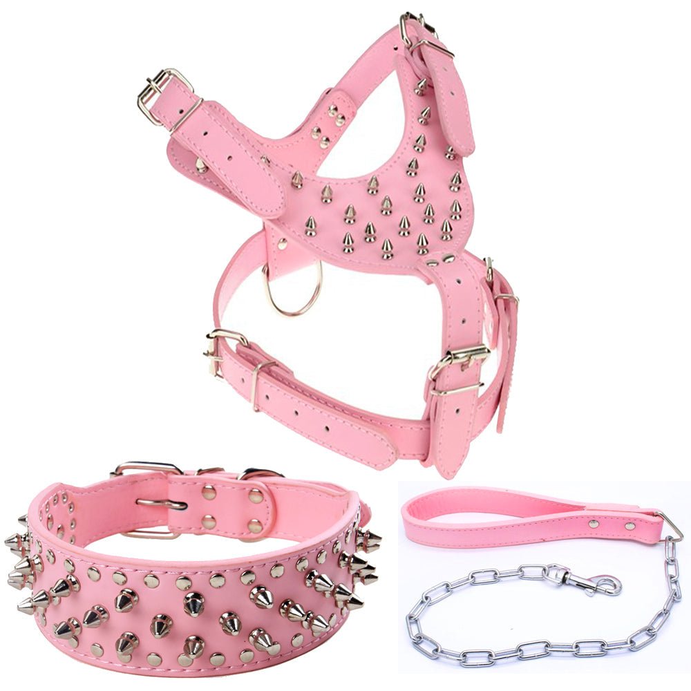 Three Piece Pet Rivet Set | Luxury Home Accessories | Heulog Glow