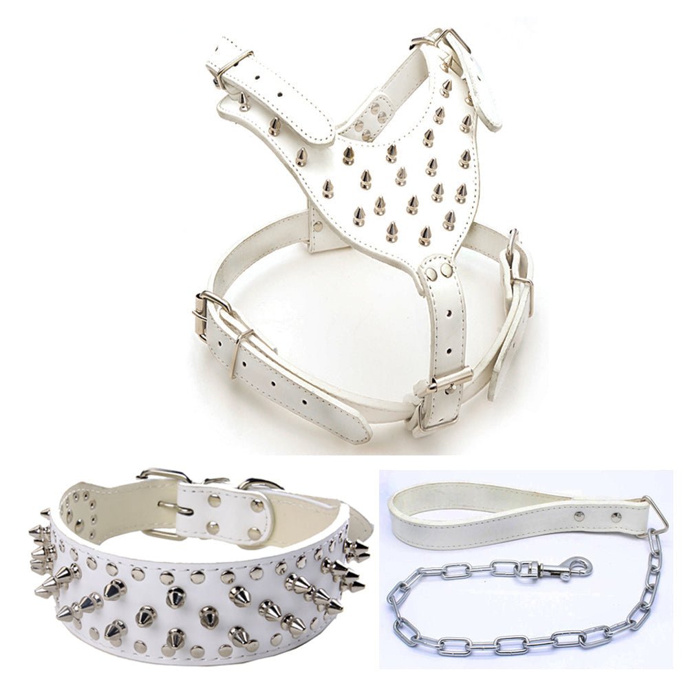 Three Piece Pet Rivet Set | Luxury Home Accessories | Heulog Glow