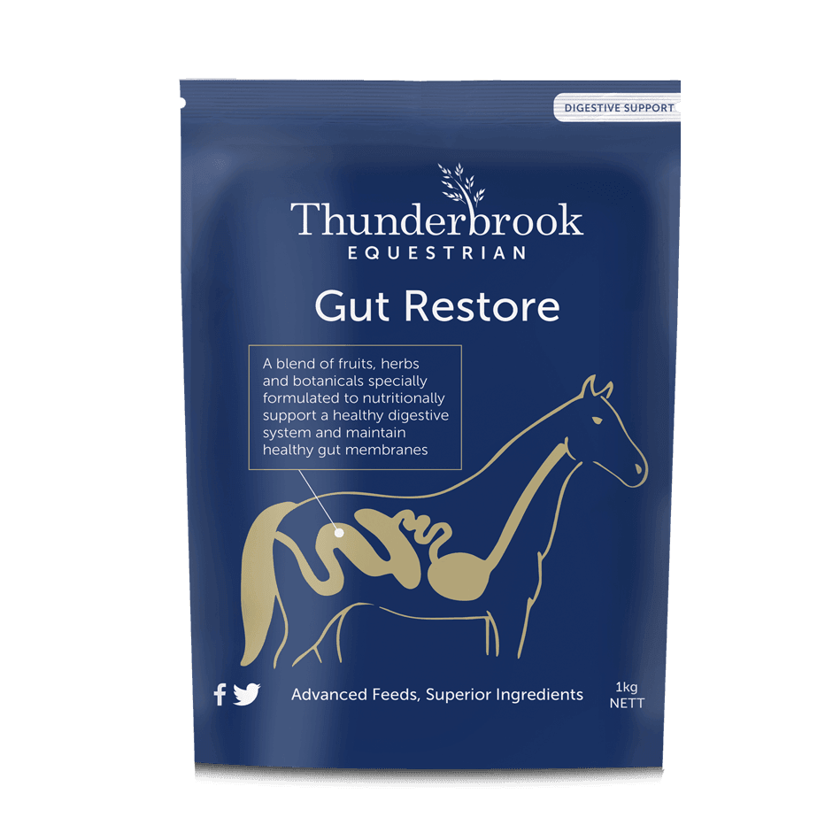 Thunderbrook Equestrian Gut Restore 3kg | Luxury Home Accessories | Heulog Glow