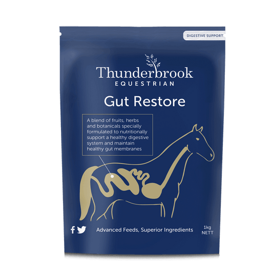 Thunderbrook Equestrian Gut Restore 3kg | Luxury Home Accessories | Heulog Glow