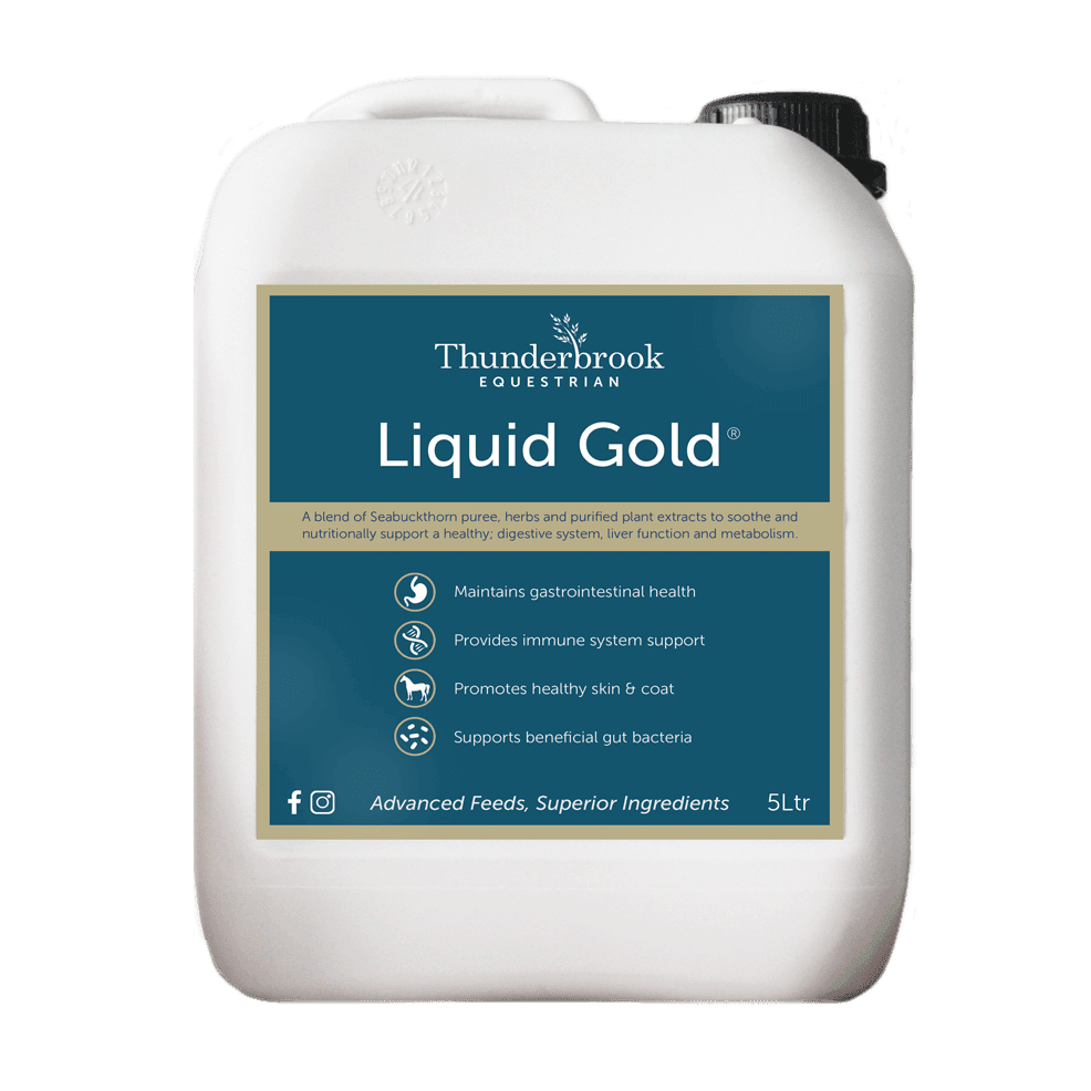 Thunderbrook Equestrian Liquid Gold 2L | Luxury Home Accessories | Heulog Glow