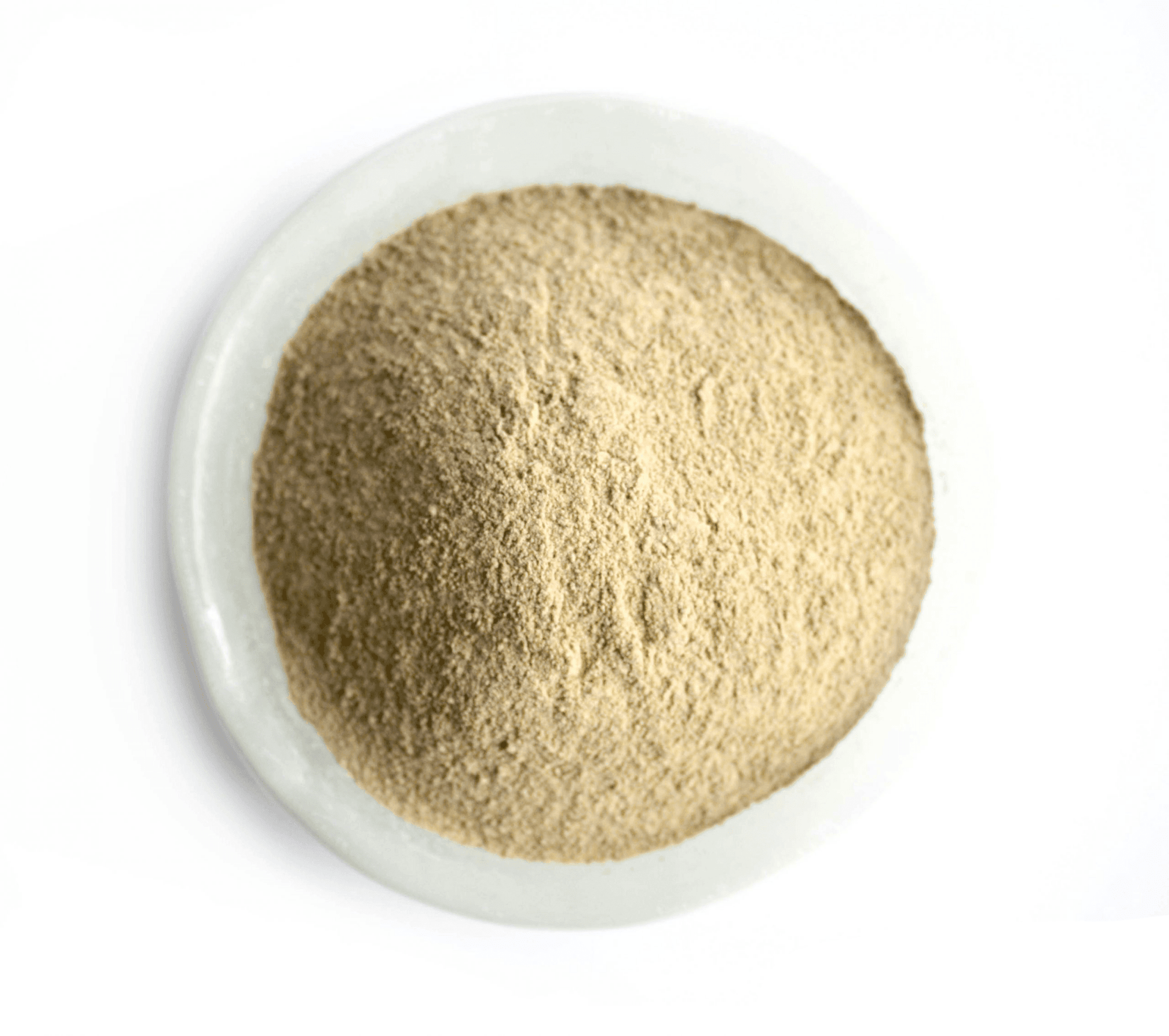 Thunderbrook Mycosorb A+ 1kg | Luxury Home Accessories | Heulog Glow